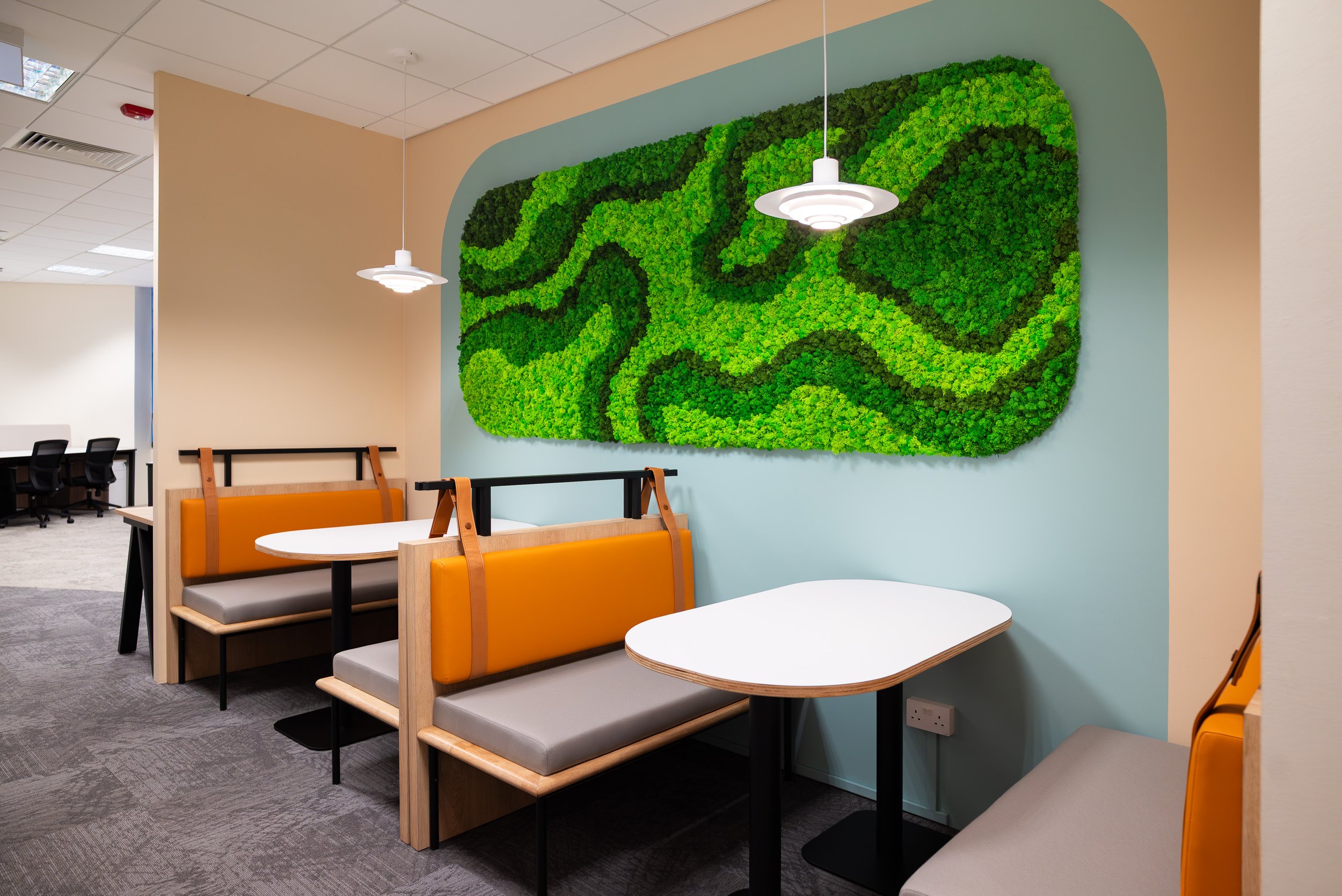 PLAZA_VENTURE_L16_MOSS