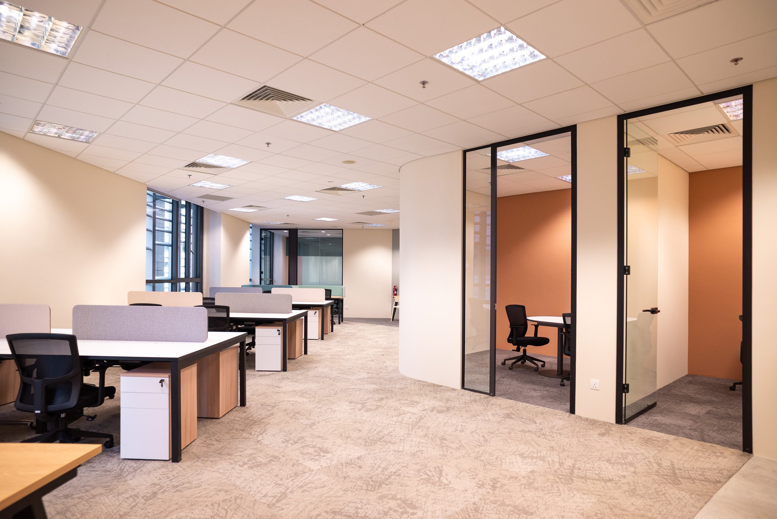 Glass-partitioned hybrid rooms within the PLUS open office workspace