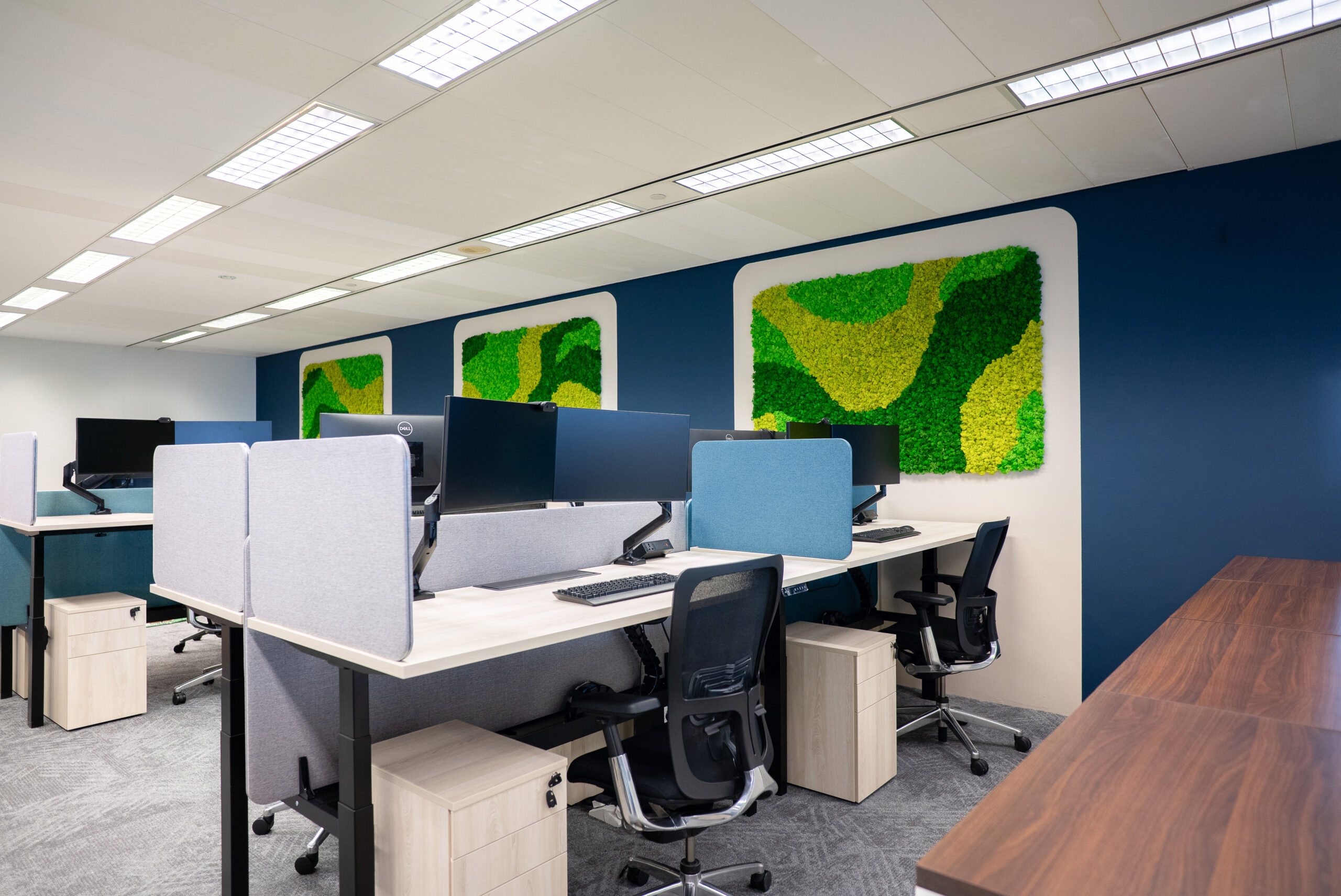 Interior Design for Offices in Singapore, Kennedys Legal Solutions Office, Commercial Interior Design, Workspace, Biophilia, Height Adjustable Tables