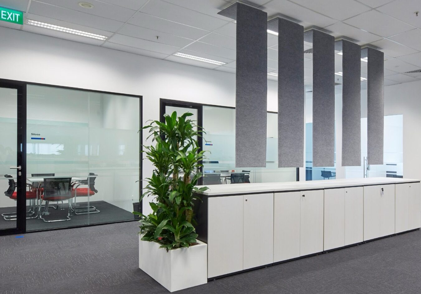 LANXESS Singapore workplace combining open and enclosed offices